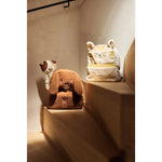 Jollein Kinderrugzakje Diego Dog