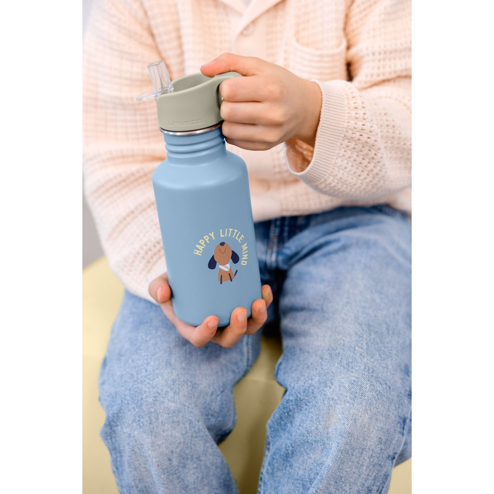 Lässig Drinkfles RVS Party 500 Ml - Blue/Green