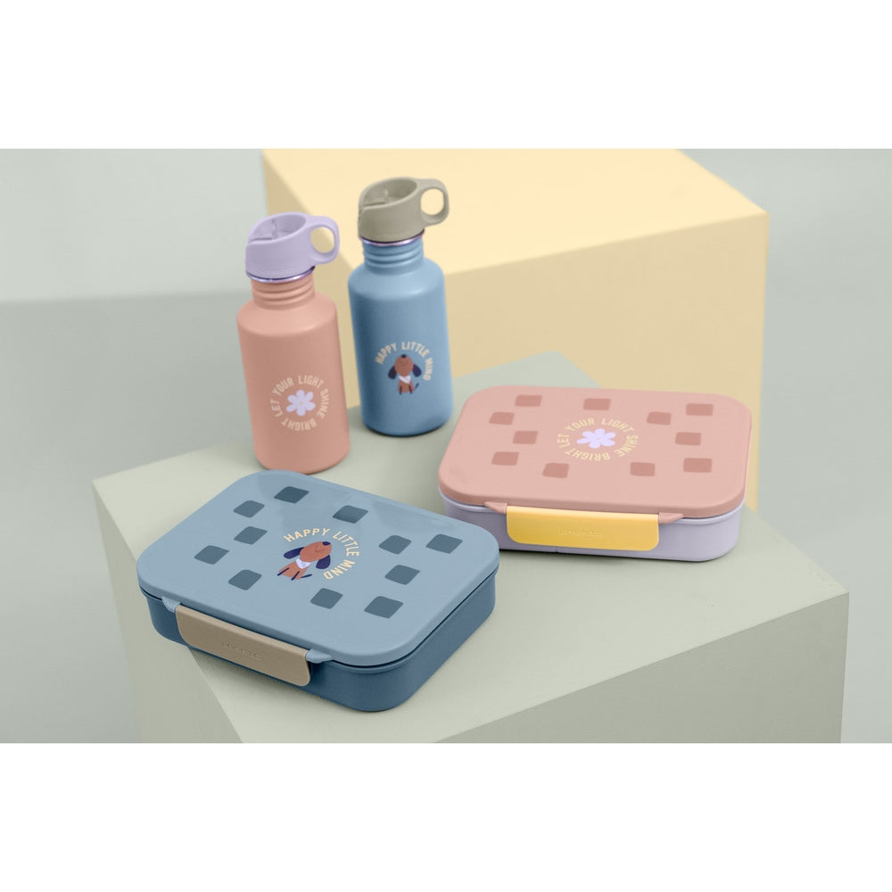 Lässig Drinkfles RVS Party 500 Ml - Blue/Green