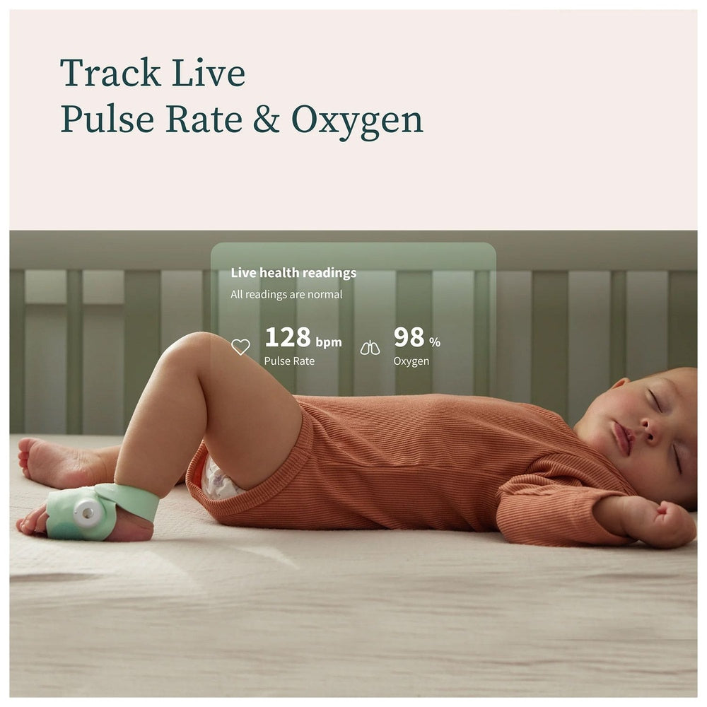 Owlet Dream Sock avec moniteur - Menthe