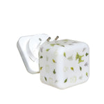 Cloud B Cube B - Forest