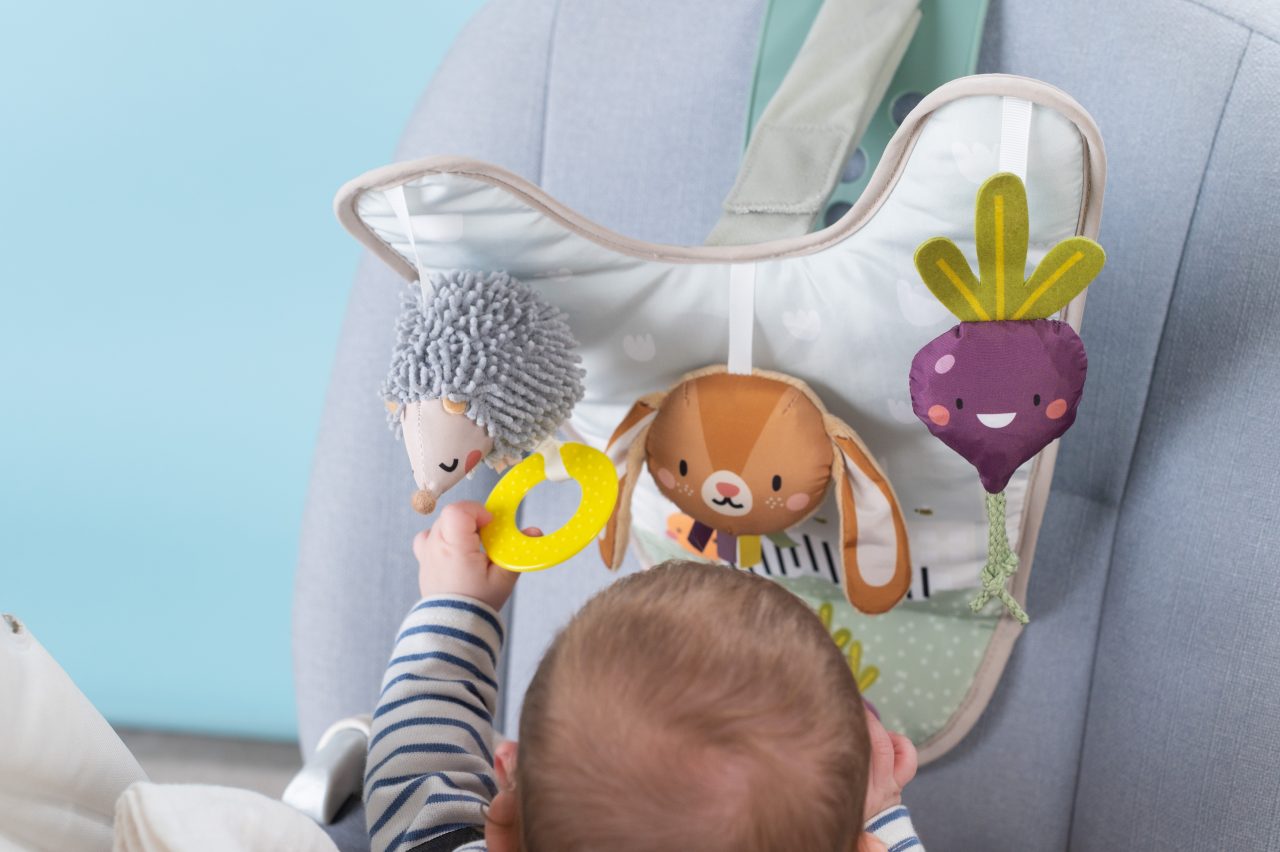 Taf Toys Activiteitenbord voor in de auto