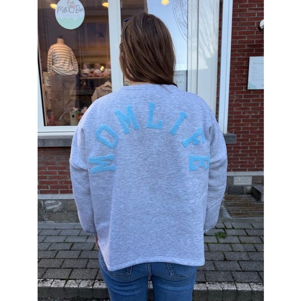 Grijze Sweater met tekst voor volwassene | onesize