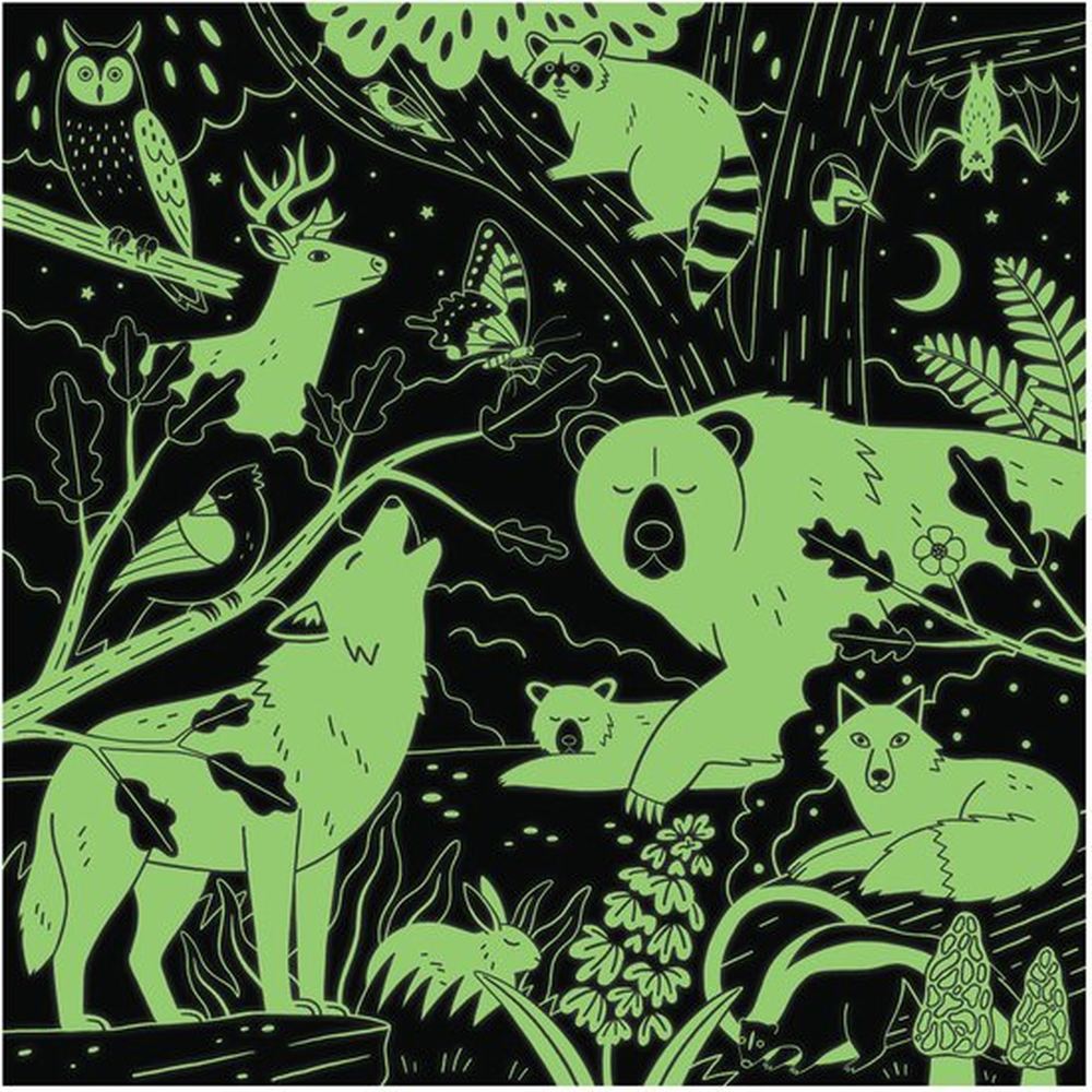 Mudpuppy Puzzle - Forest Illuminated Glow In The Dark