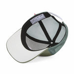 Hello Hossy Skaterpet Mini Olive Pet