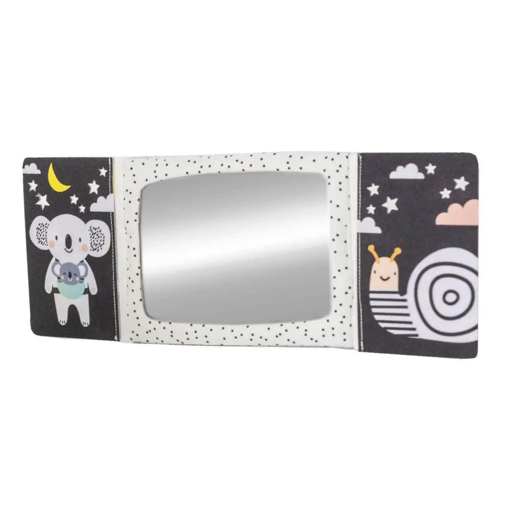 Taf Toys Tummy-Time Mirror Book