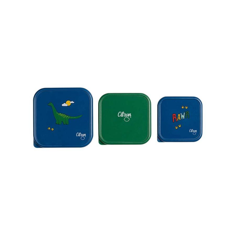 Citron Stackable Stainless Steel Lunchbox - Blue Dino
