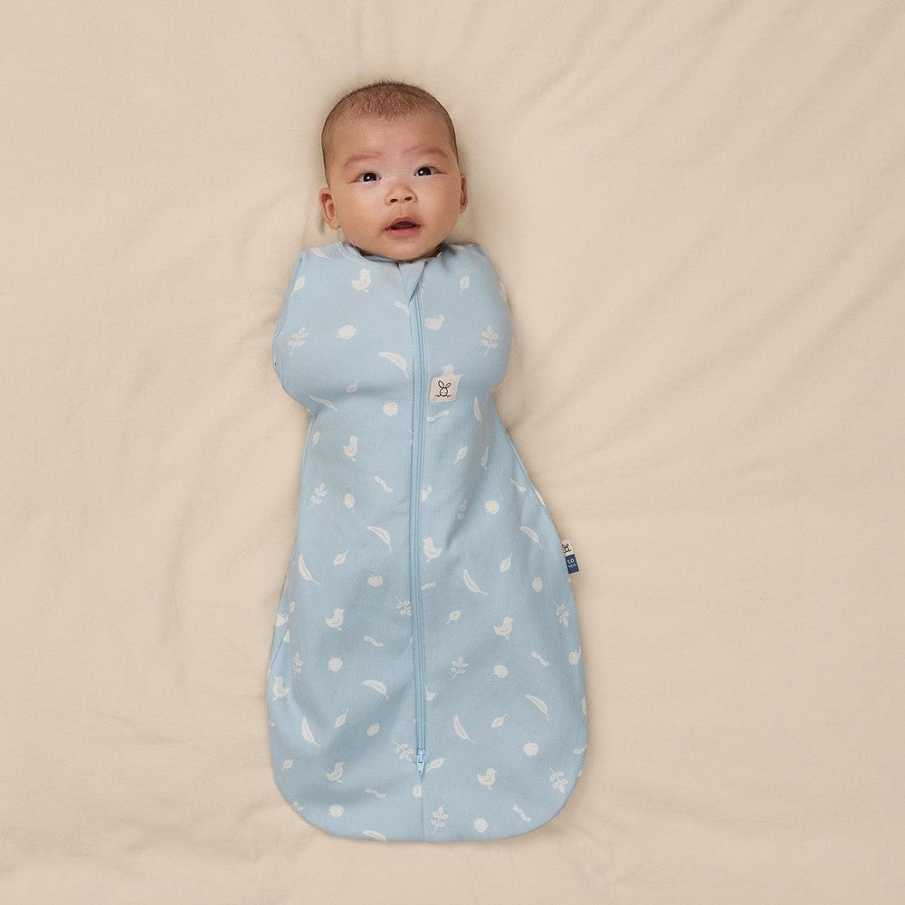 Ergopouch Cocoon Combi Slaapzak Baby + Inbakerslaapzak 0,2 Tog 3-6M - Ducks