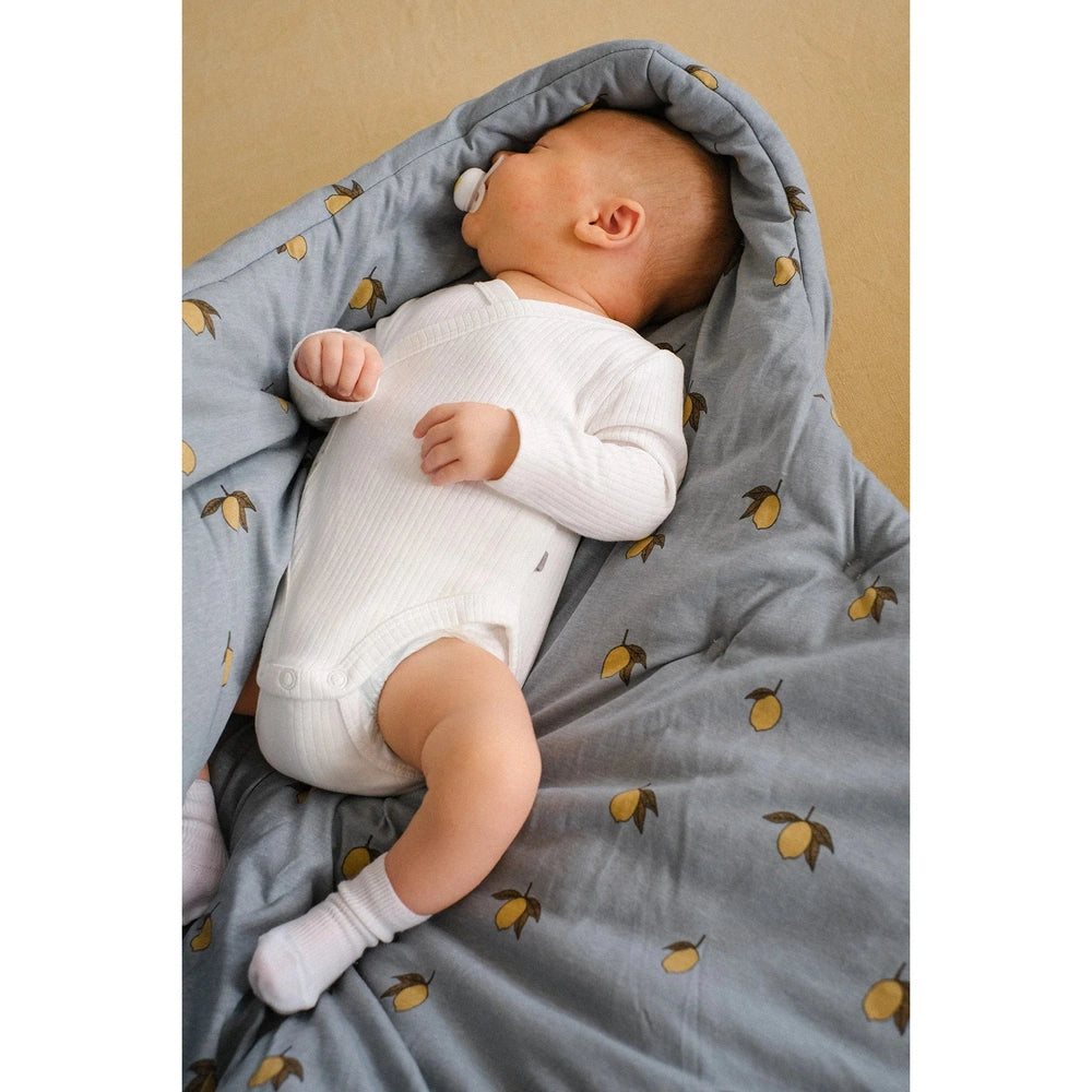 Molis&Co Voetenzak Winter TOG 2,5 - Colima