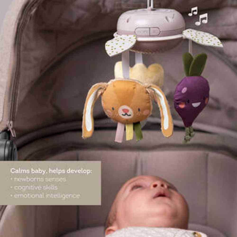 Taf Toys Easier Parenting - Garden Mobile On - The - Go