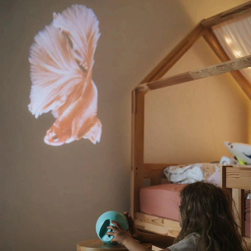 Kidywolf Kidystar Projector Ocean And Seas