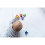 Plan Toys Blokkenset - Zintuigen| Houten speelgoed kopie