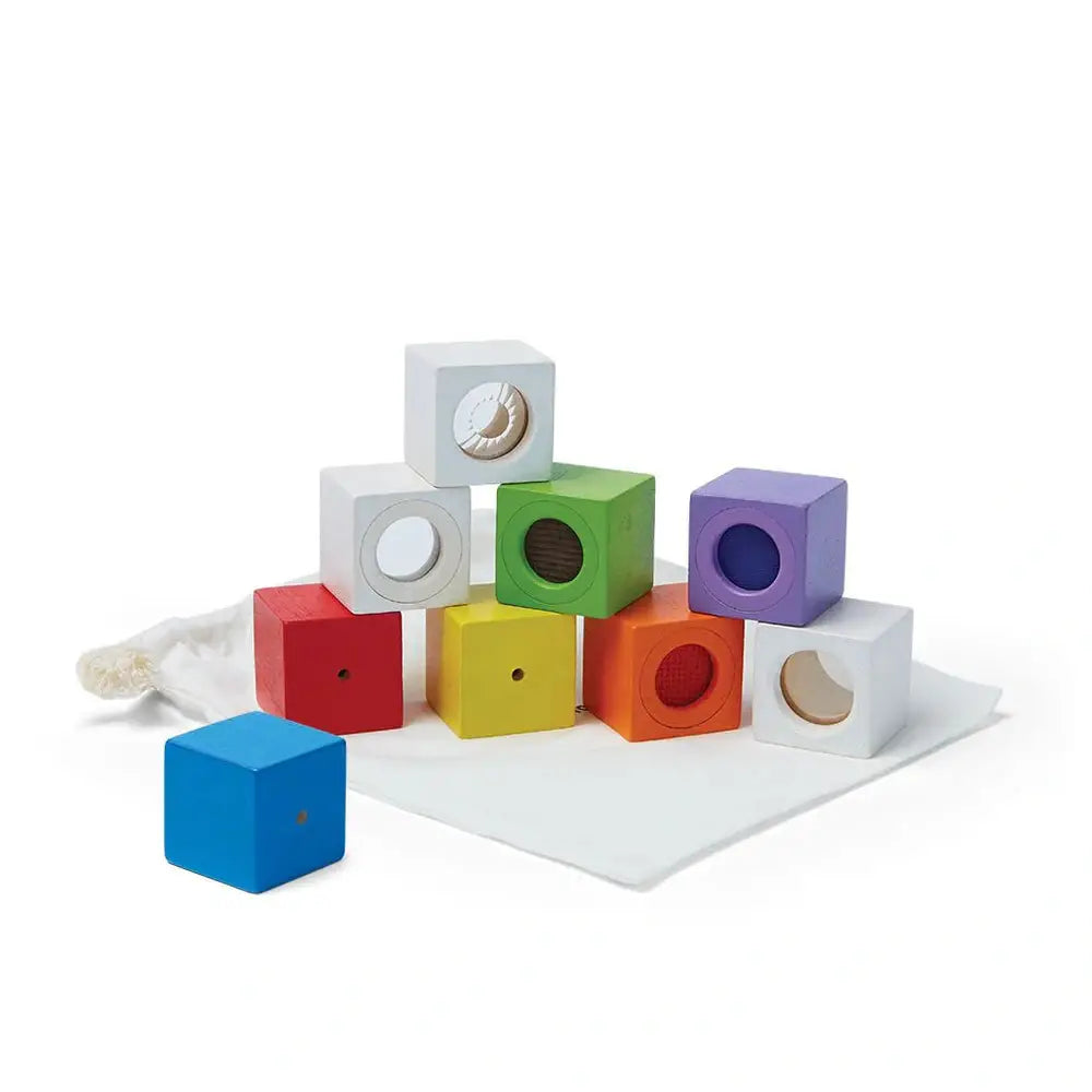 Plan Toys Blokkenset - Zintuigen| Houten speelgoed kopie