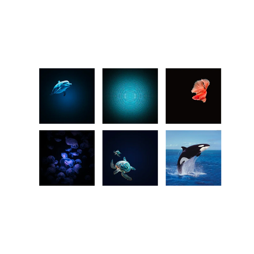 Kidywolf Kidystar Projector Ocean And Seas