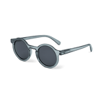 Liewood Darla Zonnebril Voor Kinderen 4-10 Jaar - Whale Blue Transparent