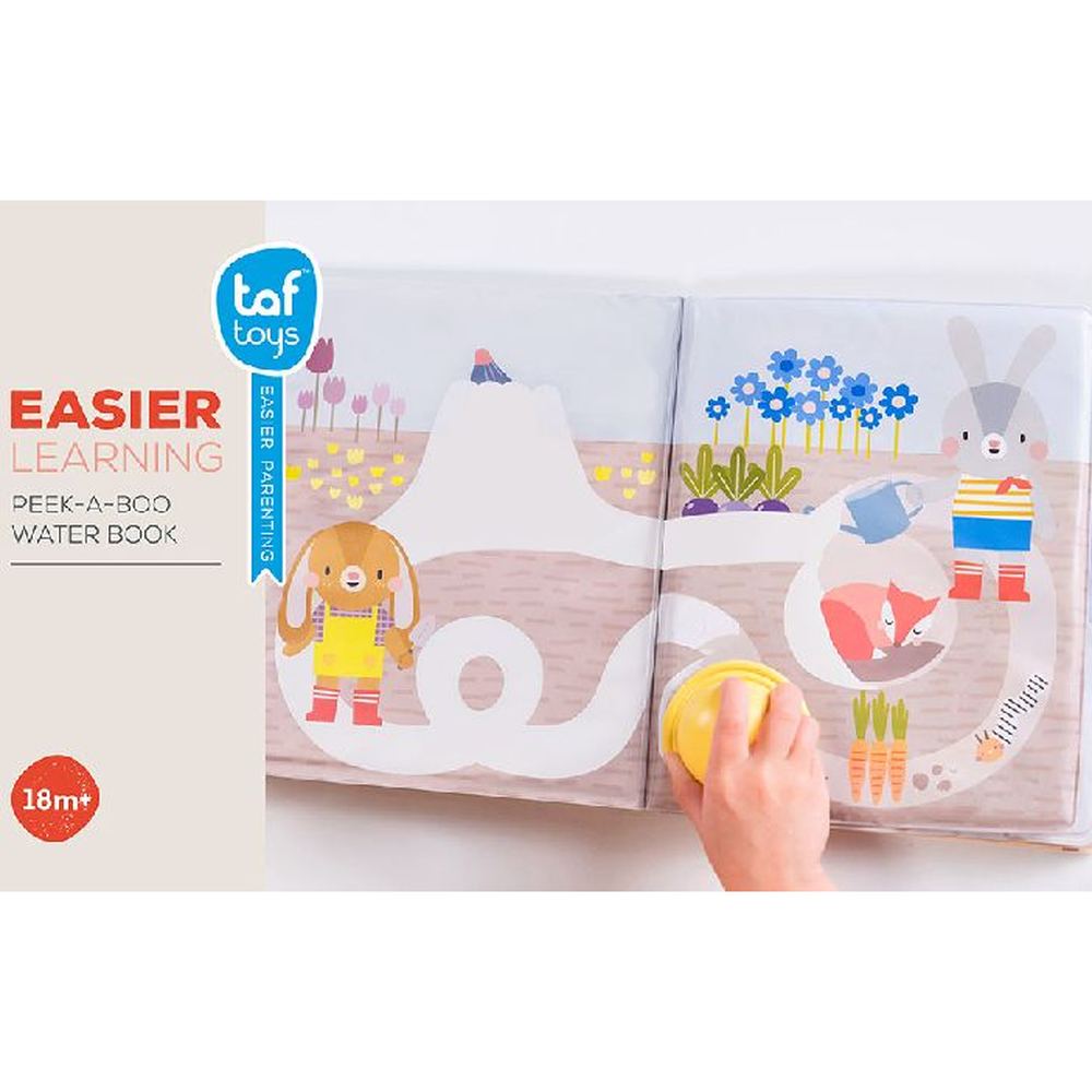 Taf Toys Waterboek