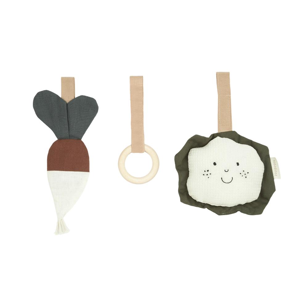 Nobodinoz Baby Gym Hangers en Sensorisch Speelgoed voor Kinderwagenbeugel